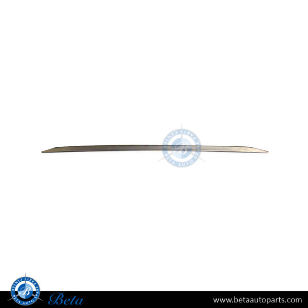 BMW 3 Series F30 (2012-2015), Rear Bumper Center Moulding (Modern), Taiwan, 51127289756