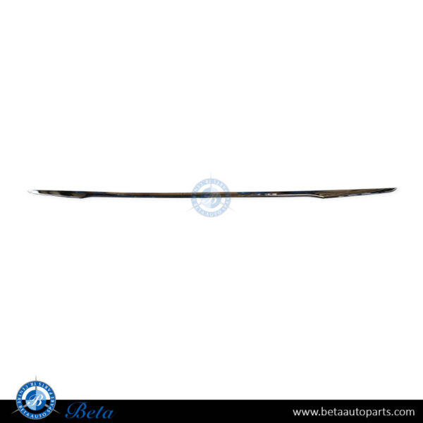 BMW 5 Series G30 LCI (2021-2023), Rear Bumper Moulding - Luxury (Center), China, 51129464229