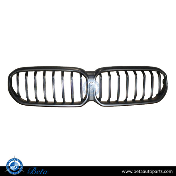 51129852284-bmw-5-series-g30-lci-radiator-grille-m-tek-with-camera-hole-silver.jpg BMW 5 Series G30 LCI (2021-2023), Radiator Grille M-Tek with Camera Hole (Silver), China, 51129852284
