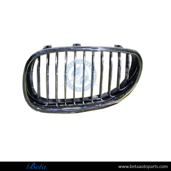 BMW 5 Series E60 (2003-2009), Radiator Grille (Left), Taiwan, 51137065701