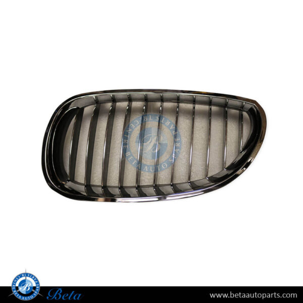 BMW 5 Series E60 (2003-2009), Radiator Grille (Left), China, 51137065701