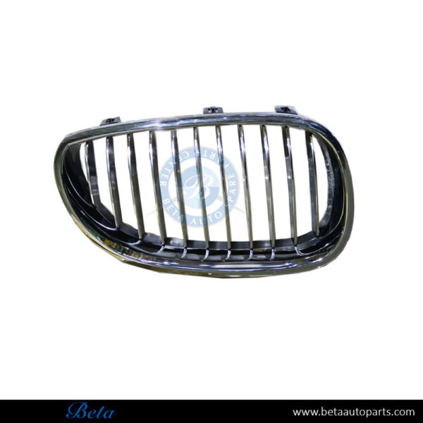 BMW 5 Series E60 (2003-2009), Radiator Grille (Right), Taiwan, 51137065702