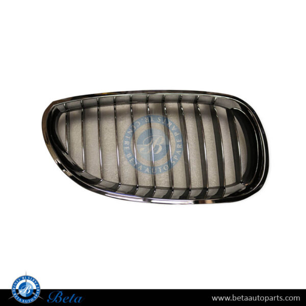 BMW 5 Series E60 (2003-2009), Radiator Grille (Right), China, 51137065702