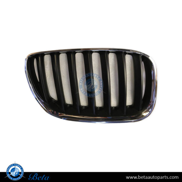 BMW X5 E53 LCI (2004-2006), Radiator Grille - Black and Chrome (Right), Taiwan, 51137113734