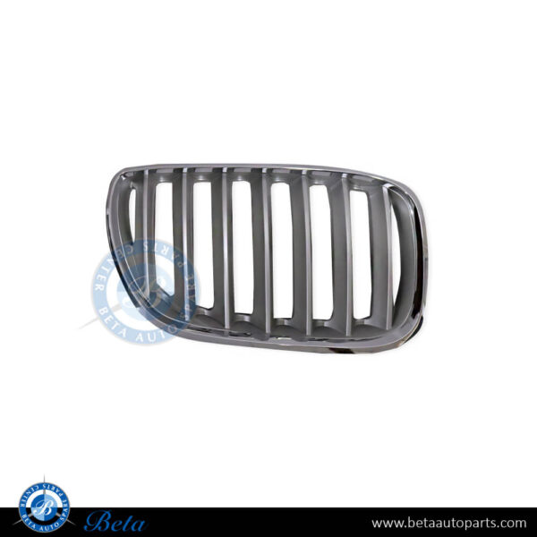 BMW X5 E53 LCI (2004-2006), Radiator Grille - Chrome Titanium (Right), Taiwan, 51137124816