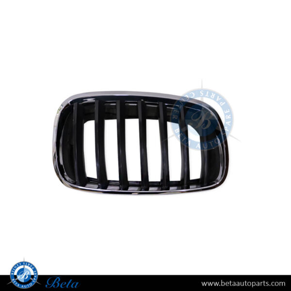 BMW X5 / X6 E70 / E71 (2007-2014), Radiator Grille - Black (Right), China, 51137157688 / 51137305590