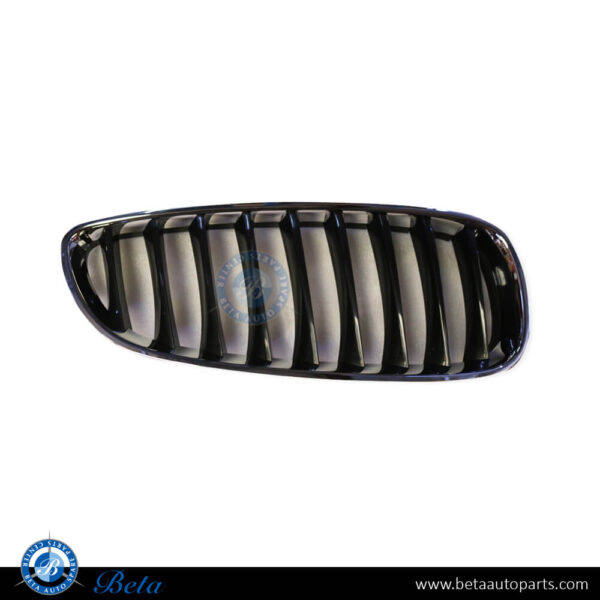 BMW Z4 E89 (2009-2012), Radiator Grille - Black and Chrome (Right), Taiwan, 51137191510