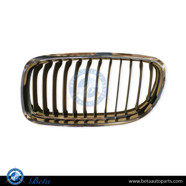BMW 3 Series E90 LCI (2009-2011), Radiator Grille - Black and Chrome (Left), Taiwan, 51137201967
