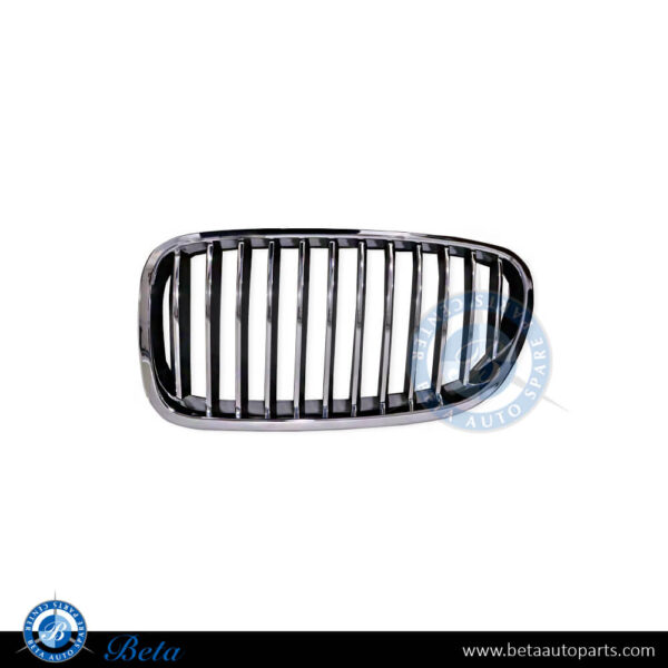 BMW 5 Series F10 (2010-2013), Radiator Grille (Left), China, 51137203649