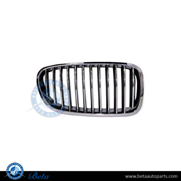 BMW 5 Series F10 (2010-2013), Radiator Grille (Right), China, 51137203650