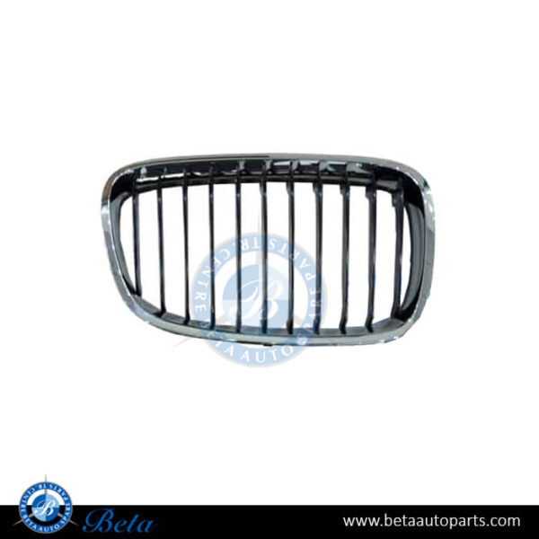 BMW 1 Series F20 / F21 (2012-2014), Radiator Grille for Basis - Black and Chrome (Right), Taiwan, 51137239022