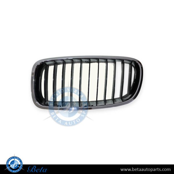 51137255411-bmw-3-series-f30-grille-left-china-spare-parts-1.jpg BMW 3 Series F30 (2012-2018), Radiator Grille (Left), China, 51137255411
