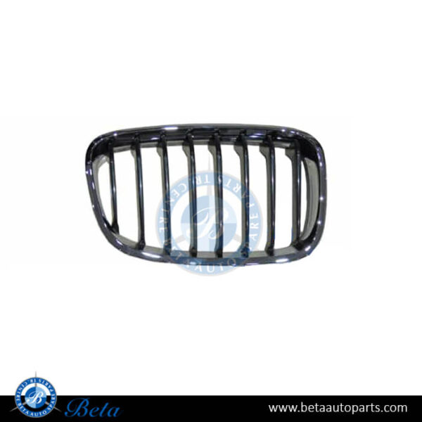 BMW 1 Series F20 / F21 (2012-2014), Radiator Grille for Sport Line - Black and Chrome (Right), Taiwan, 51137262118