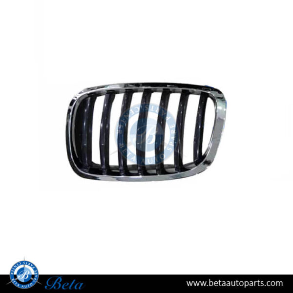 BMW X6 E71 LCI (2013-2014), Radiator Grille (Left), China, 51137305589