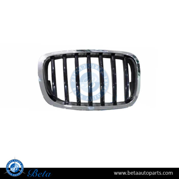 BMW X6 E71 LCI (2013-2014), Radiator Grille (Right), China, 51137305590
