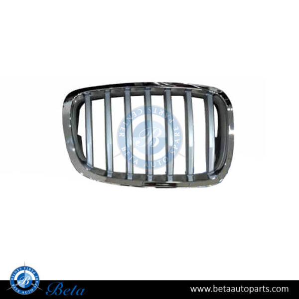 BMW X6 E71 LCI (2013-2014), Radiator Grille - Titan (Right), China, 51137307600