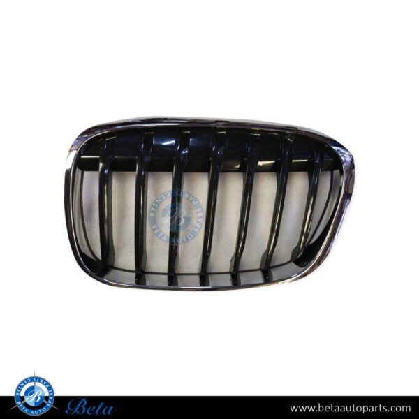 BMW X1 F48 (2016-2019), Radiator Grille - Basis (Left), Taiwan, 51137354823