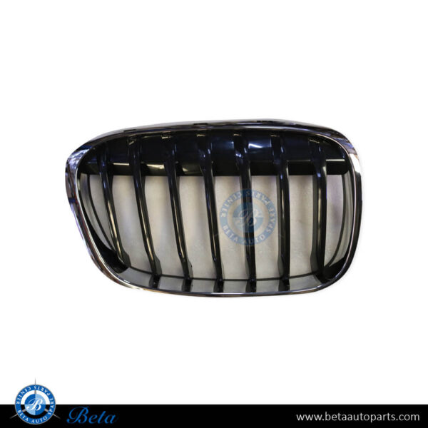 BMW X1 F48 (2016-2019), Radiator Grille - Basis (Right), Taiwan, 51137354824