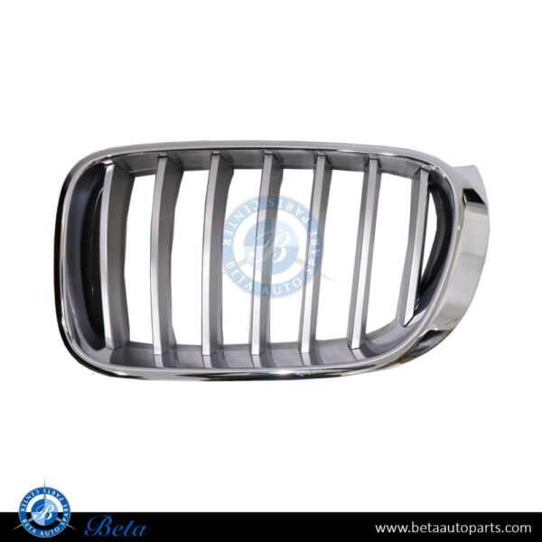 BMW X3 / X4 F25 / F26 (2014-2018), Radiator Grille - X-Line (Left), China, 51137367421