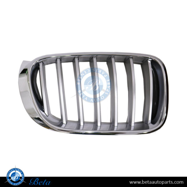 BMW X3 / X4 F25 / F26 (2014-2018), Radiator Grille - X-Line (Right), China, 51137367422