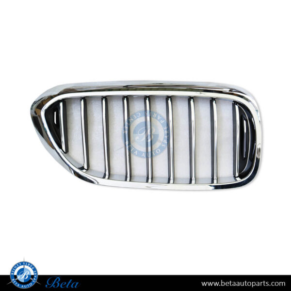 51137390866-bmw-5-series-g30-grille-for-luxury-line-right-side-taiwan-parts-1.jpg BMW 5 Series G30 (2017-2020), Radiator Grille - Luxury (Right), Taiwan, 51137390866