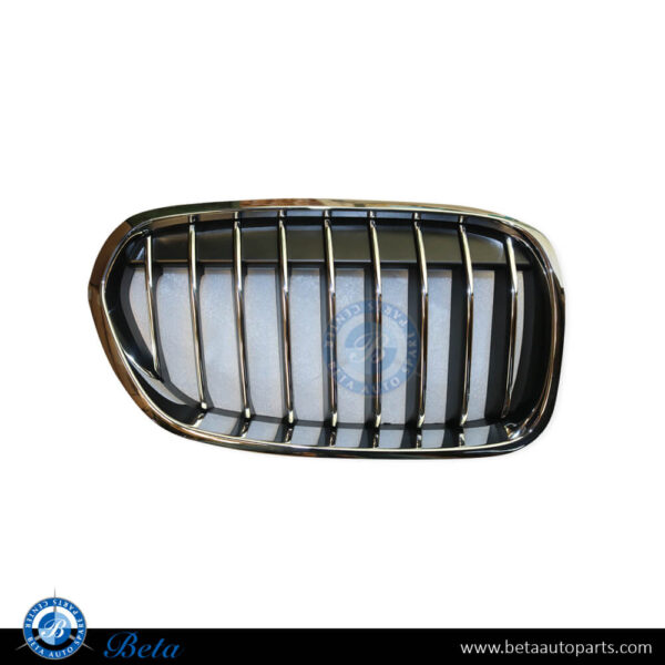 BMW 1 Series F20 / F21 LCI (2015-2019), Radiator Grille - Luxury Line (Left), China, 51137400797