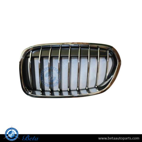 BMW 1 Series F20 / F21 LCI (2015-2019), Radiator Grille - Luxury Line (Right), China, 51137400798