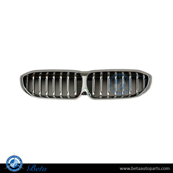 BMW 3 Series G20 (2019-2022), Radiator Grille without Camera Hole (Luxury Line), China, 51137449432