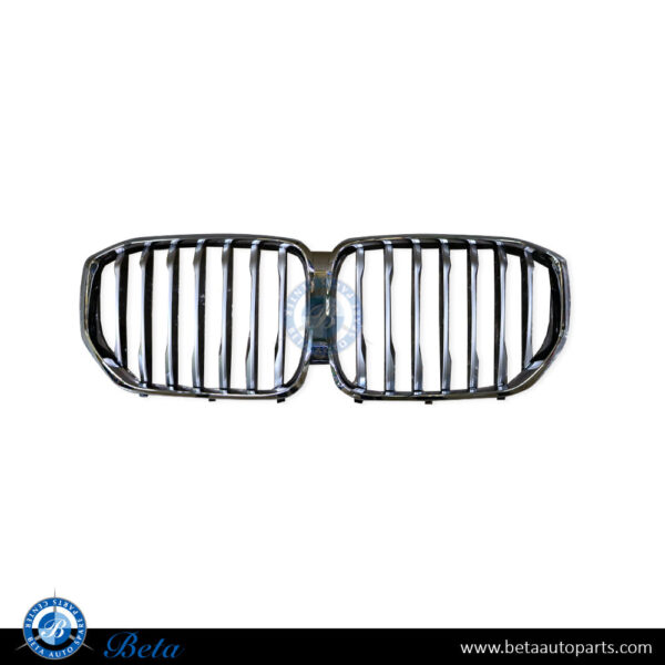 BMW X5 G05 (2019-2023), Radiator Grille with Camera Hole, China, 51137454889