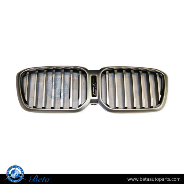 BMW X3 G01 LCI (2022-2023), Radiator Grille with Camera Hole, China, 51137931236
