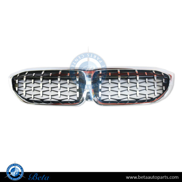 BMW 3 Series G20 (2019-2022), Radiator Grille Stars Look (Silver), China, 51138075665