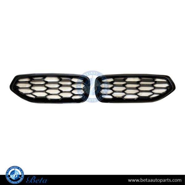 BMW Z4 G29 (2018-Up), Radiator Grille (Gloss Black), China, 51138091295 / 51138091296