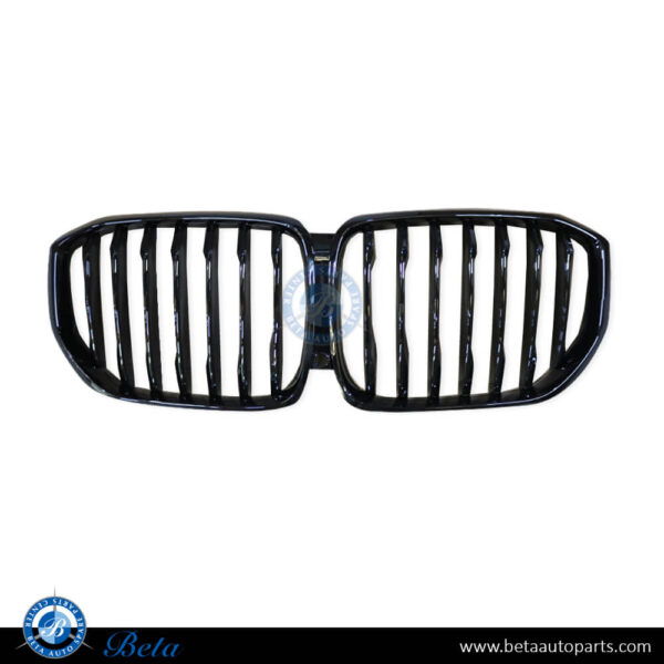 BMW X5 G05 (2019-2023), Radiator Grille with Camera Hole (Gloss Black), China, 51138096591