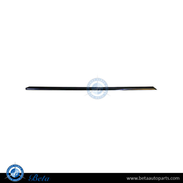 51138125351-bmw-7-series-e38-rear-door-moulding-short-left.jpg BMW 7 Series E38 (1995-2001), Rear Door Moulding - Short (Left), Taiwan, 51138125351