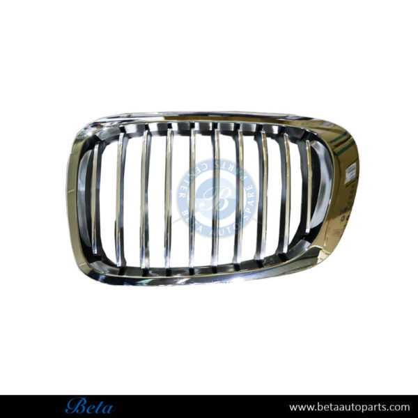 BMW 3 Series Coupe E46 (1998-2001), Radiator Grille Chrome (Left), Taiwan, 51138208685
