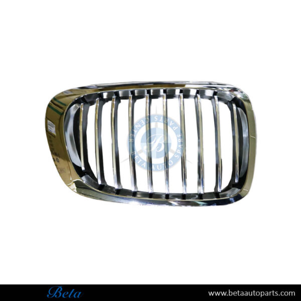 BMW 3 Series Coupe E46 (1998-2001), Radiator Grille Chrome (Right), Taiwan, 51138208686