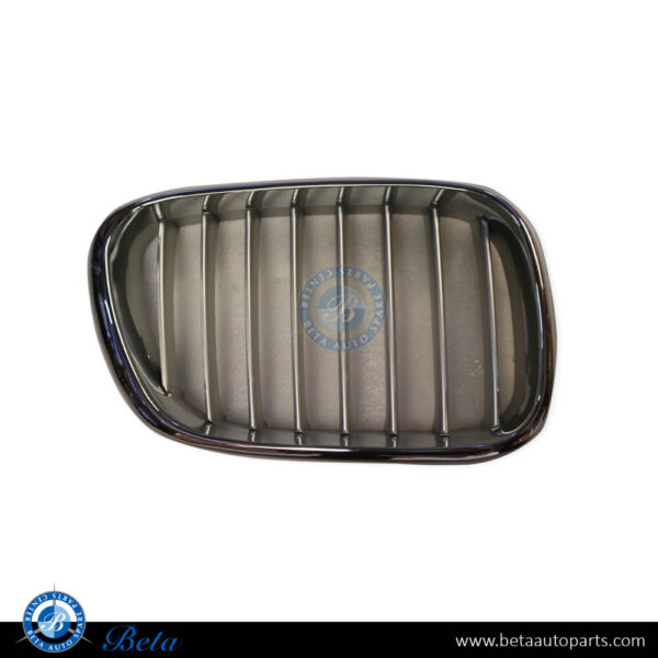 BMW X5 E53 (2000-2006), Radiator Grille - Chrome Titanium (Right), Taiwan, 51138250052