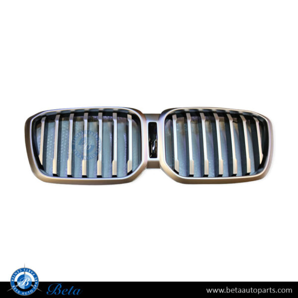 BMW X3 G01 LCI (2022-2023), Radiator Grille without Camera Hole, China, 51139881906