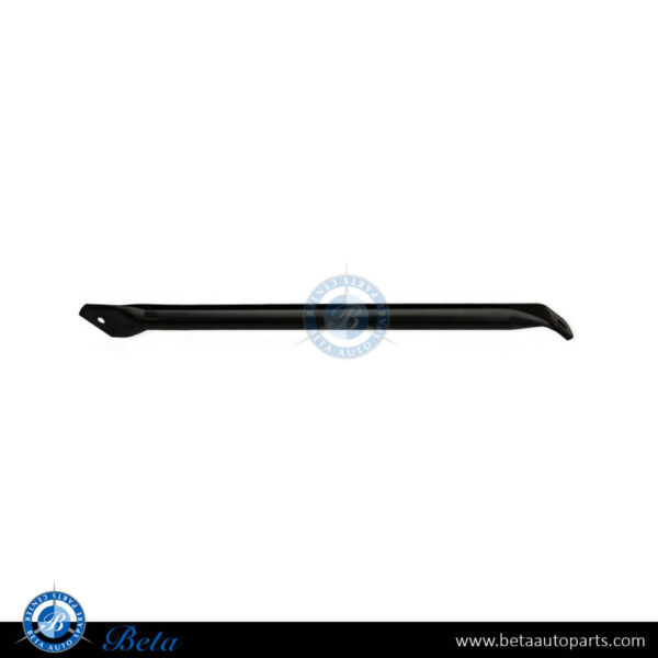 BMW X3 / X4 F25 / F26 (2011-2018), V-Strut (Left), China, 51647210503