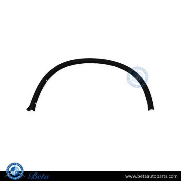 BMW X6 E71 (2008-2014), Rear Wheel Arch (Left), China, 51777176329