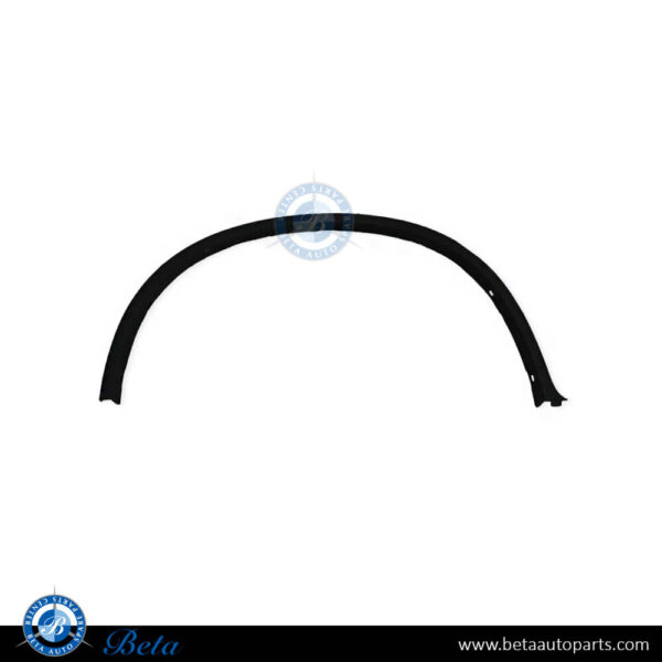 BMW X6 E71 (2008-2014), Rear Wheel Arch (Right), China, 51777176330