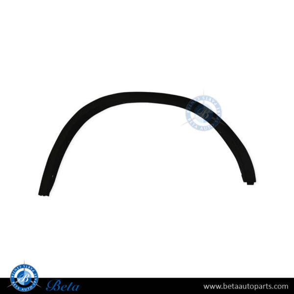 BMW X3 G01 (2018-Up), Rear Wheel Arch (Left), China, 51777400669