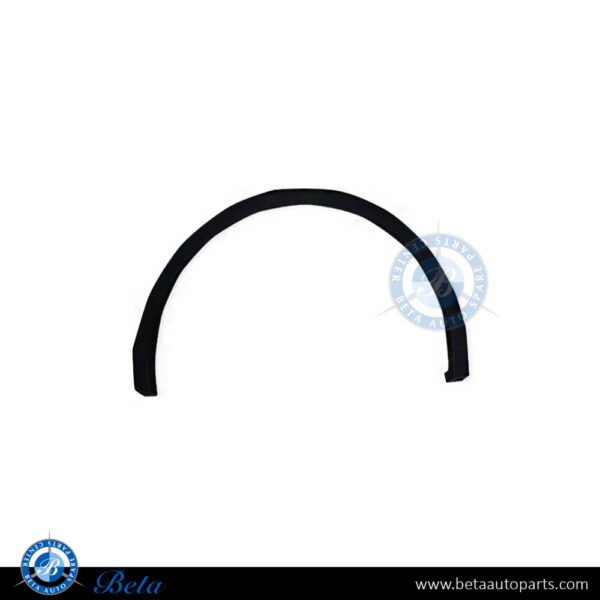 Volkswagen Tiguan (2017-2020), Rear Wheel Arch (Left), China, 5NA854819G