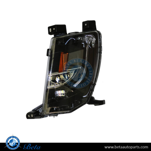 Tesla Model S (2016-2021), Fog Lamp - USA type High (Left), China, 6005913-00-I / 6005916-00-E