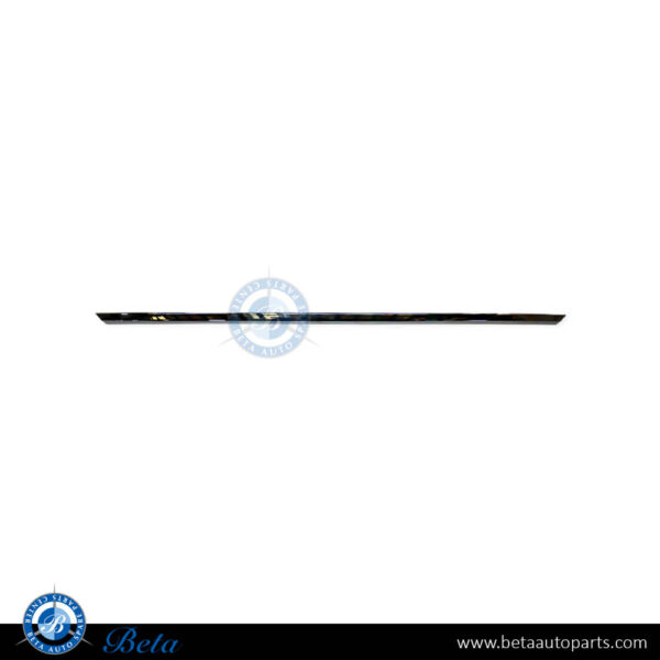 Volkswagen Touareg (2018-Up), Front Bumper Moulding - Chrome (Center), China, 760853245