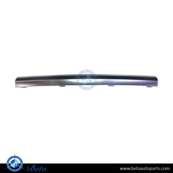 Audi Q5 Sportsback S-Line (2021-2024), Rear Diffuser Moulding Silver Center, China, 80F807578