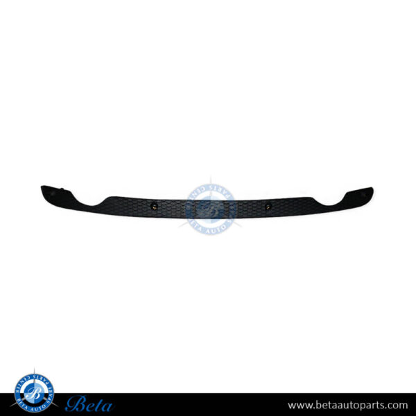 8r0807823e-audi-q5-s-line-rear-diffuser-grille.jpg Audi Q5 S-Line (2009-2017), Rear Diffuser Grille, China, 8R0807823E