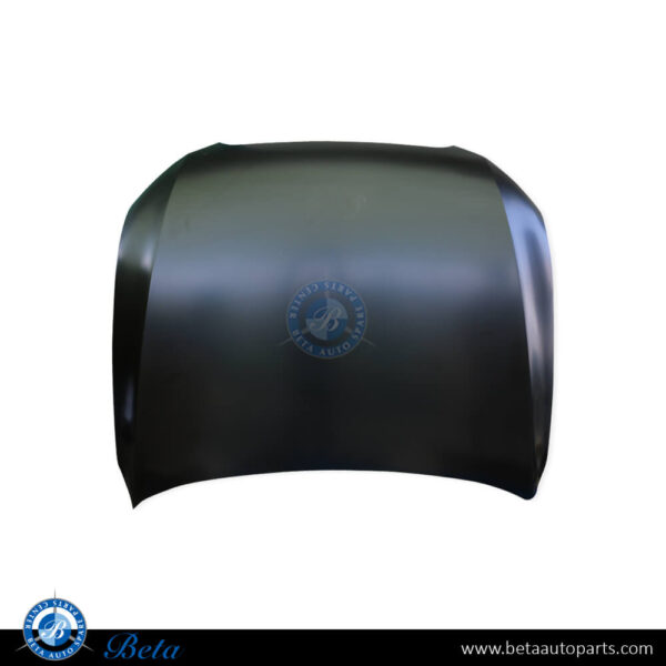 Audi Q5 (2013-2017), Hood (Aluminum), China, 8R0823029D