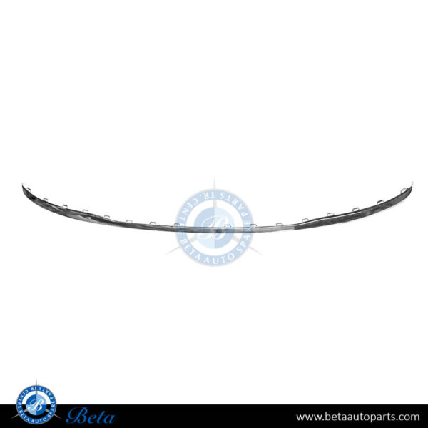 Audi A4 / A5 (2020-Up), Rear Diffuser Moulding - Silver (Center), China, 8W0853551D3Q7