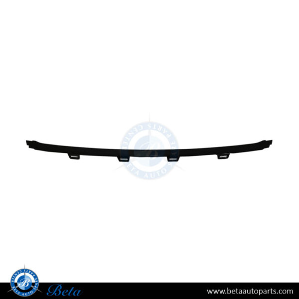 BMW 3 Series F30 LCI (2016-2018), Front Bumper Center Moulding (Sport Line) (Black), Taiwan, 51117396831